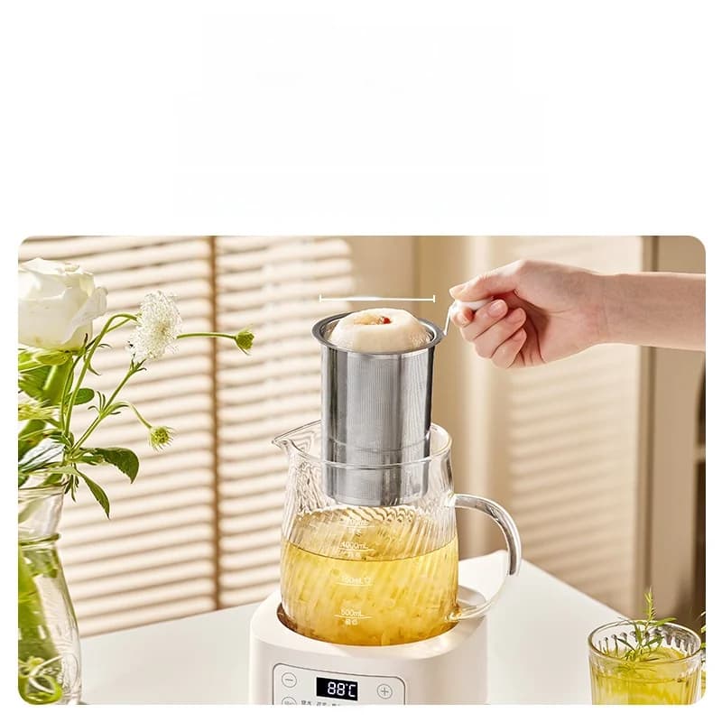 Glas-Elektro-Health-Topf mit Temperaturregelung 1.2L