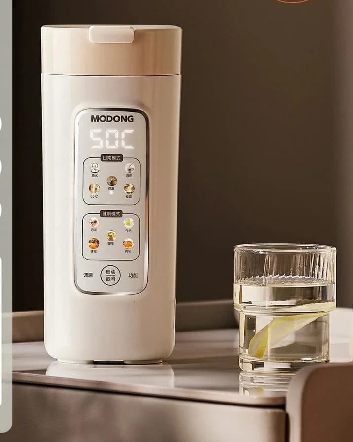 Tragbarer elektrischer Wasserkocher-Becher mit Filter, 220V