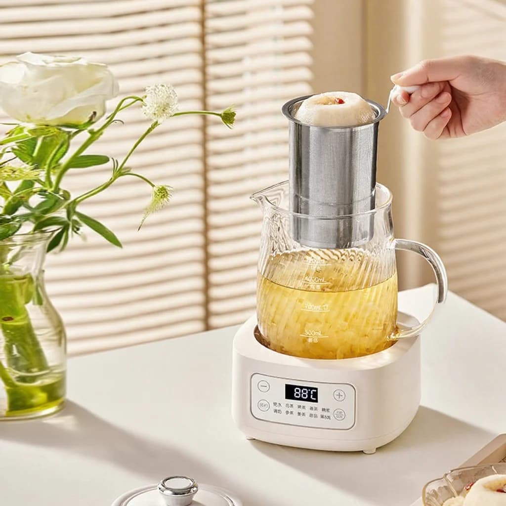 Glas-Elektro-Gesundheitstopf mit Temperaturregelung 1.2L