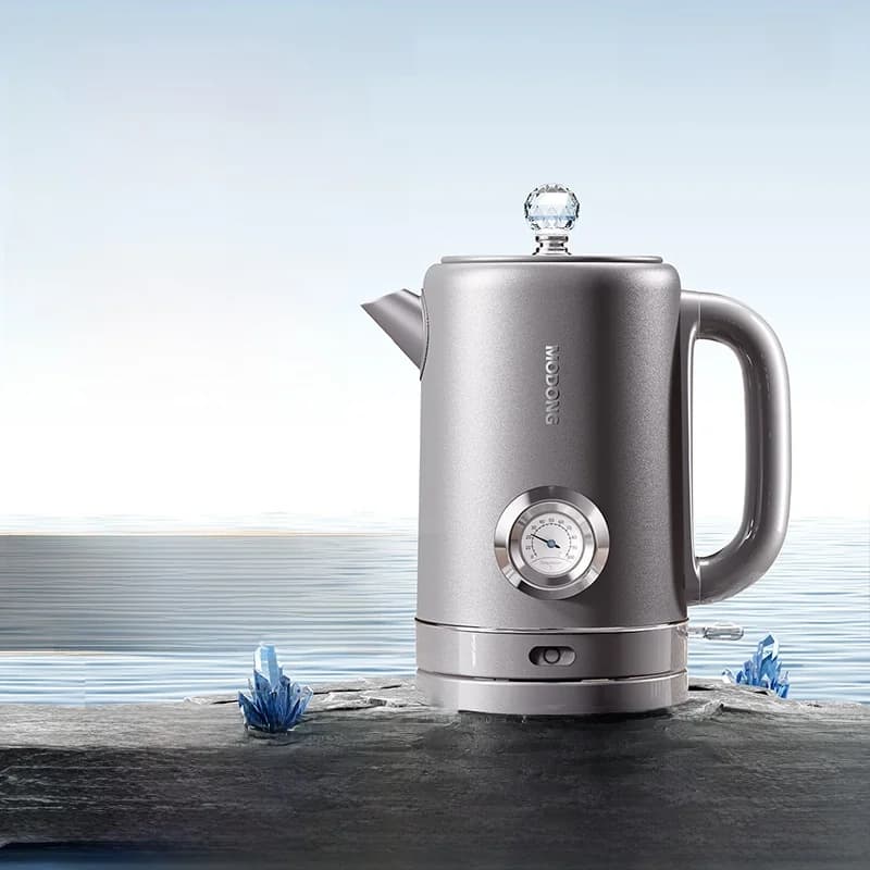 Reiner Titan-Wasserkocher 1.8L mit Temperaturanzeige