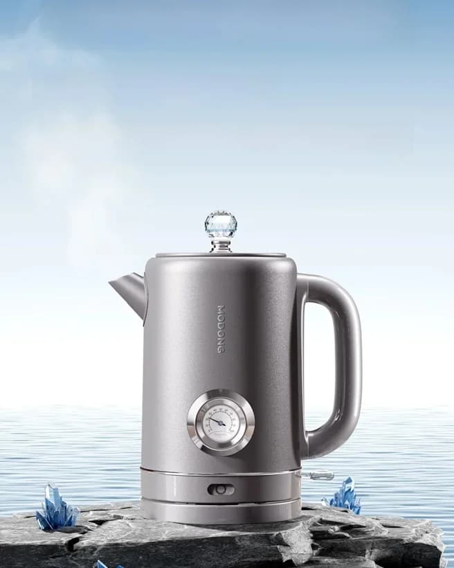 Reiner Titan-Wasserkocher mit Temperaturanzeige 1.8L