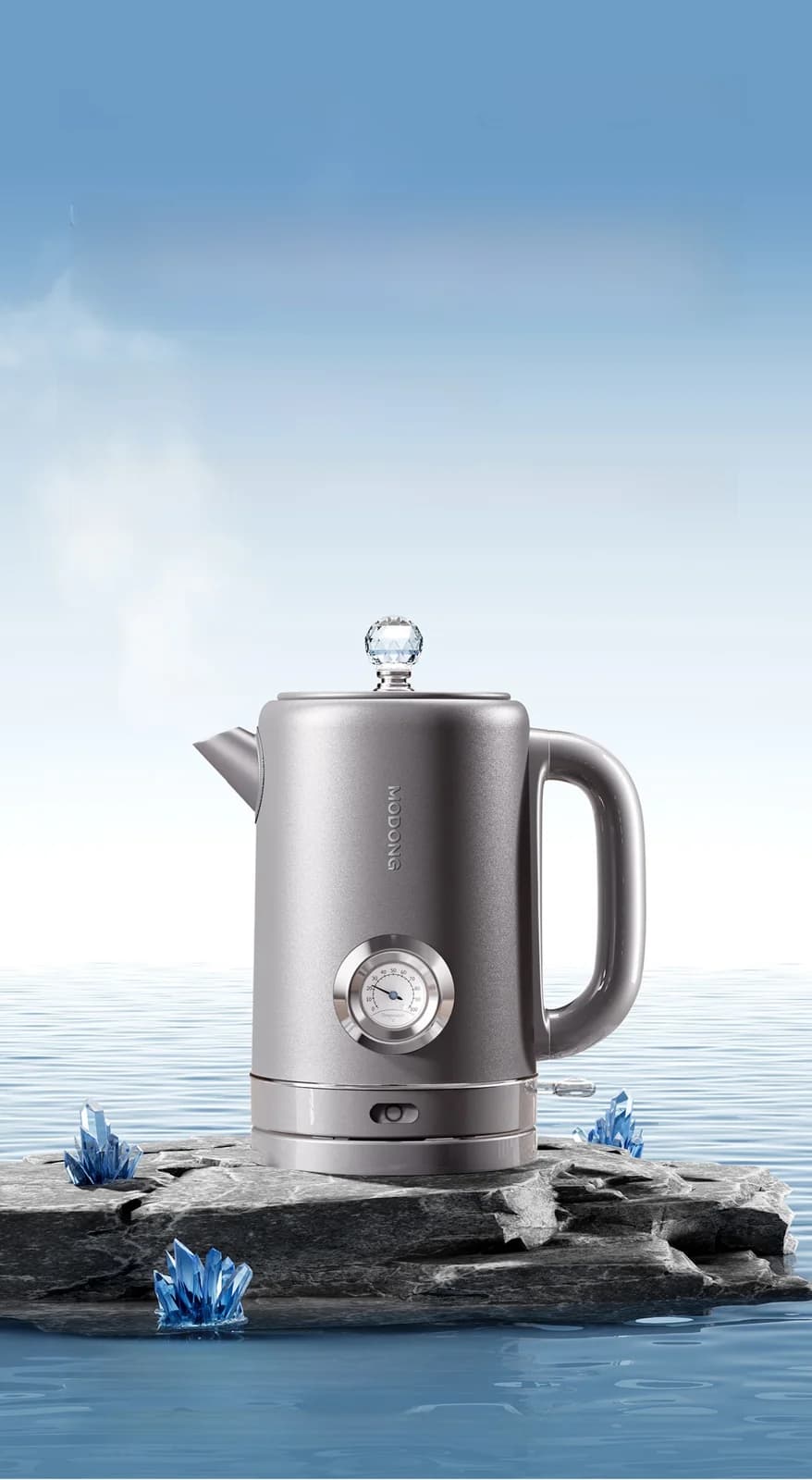 Reiner Titan-Wasserkocher mit Temperaturanzeige 1.8L
