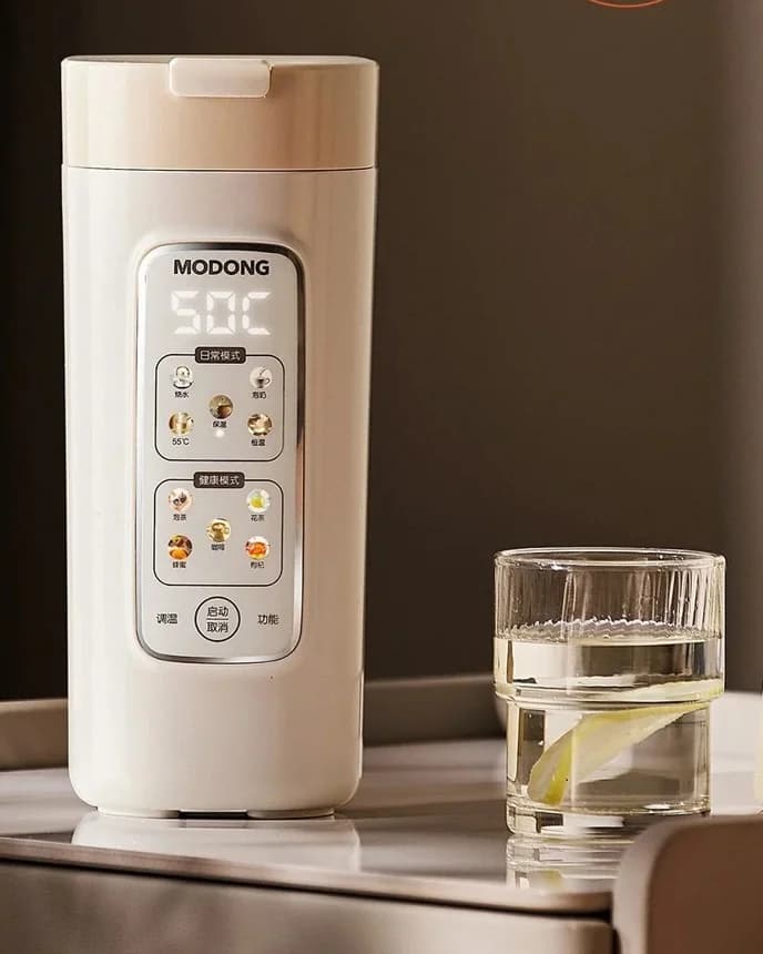 Tragbarer elektrischer Wasserkocher-Becher mit Filter, 220V