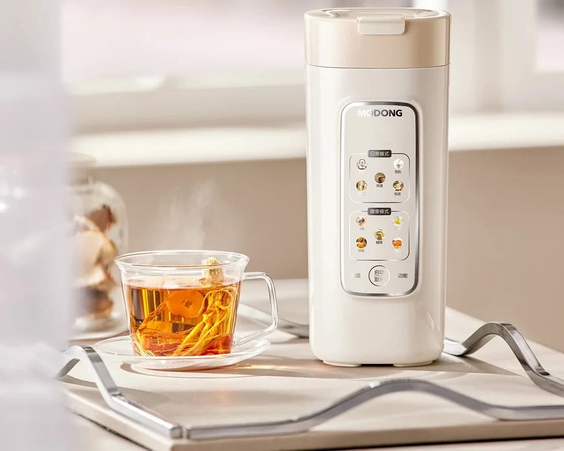 Tragbare elektrische Wasserheiz-Tasse mit Filter, 220V