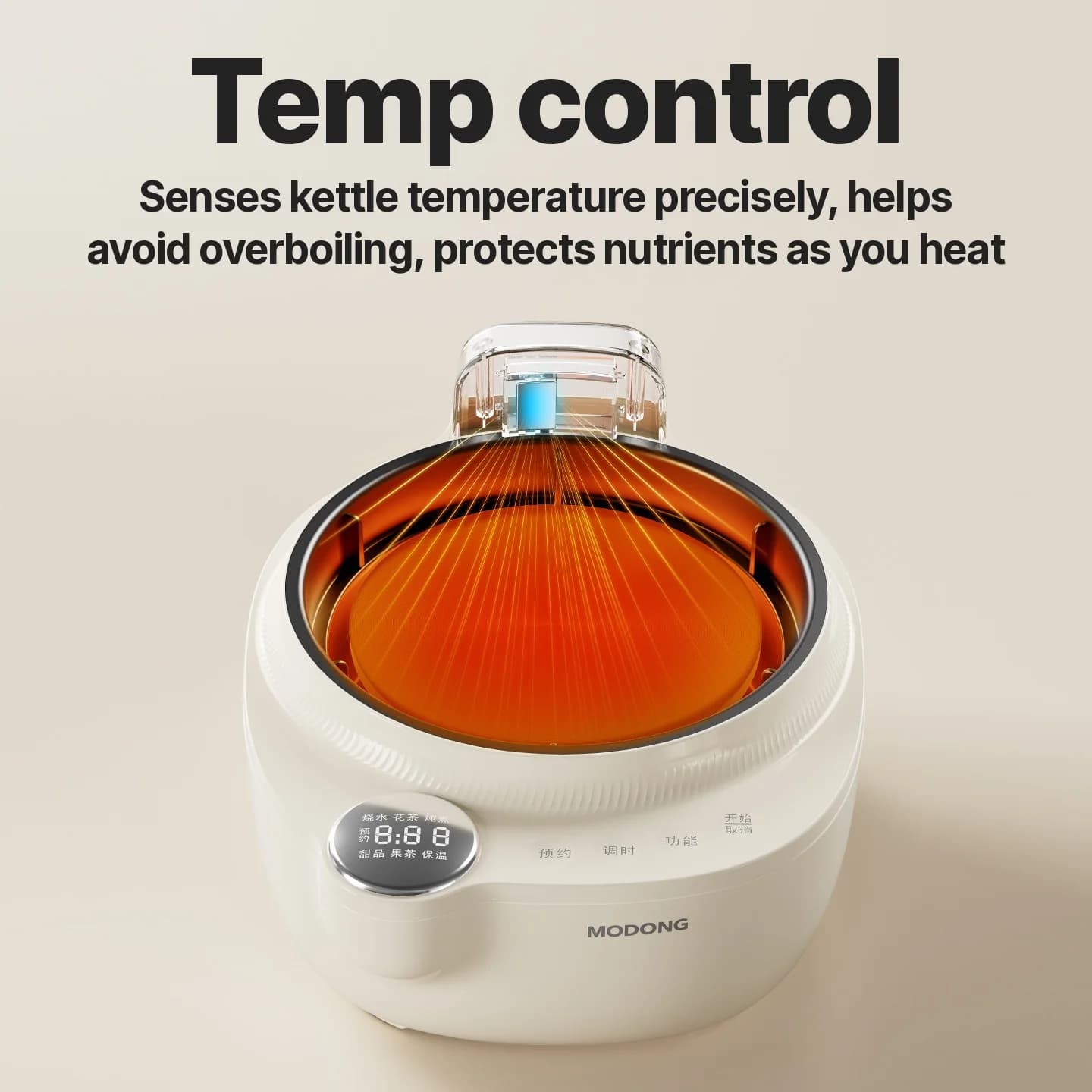 Glas-Elektro-Teekessel mit Temperaturregelung, 1L