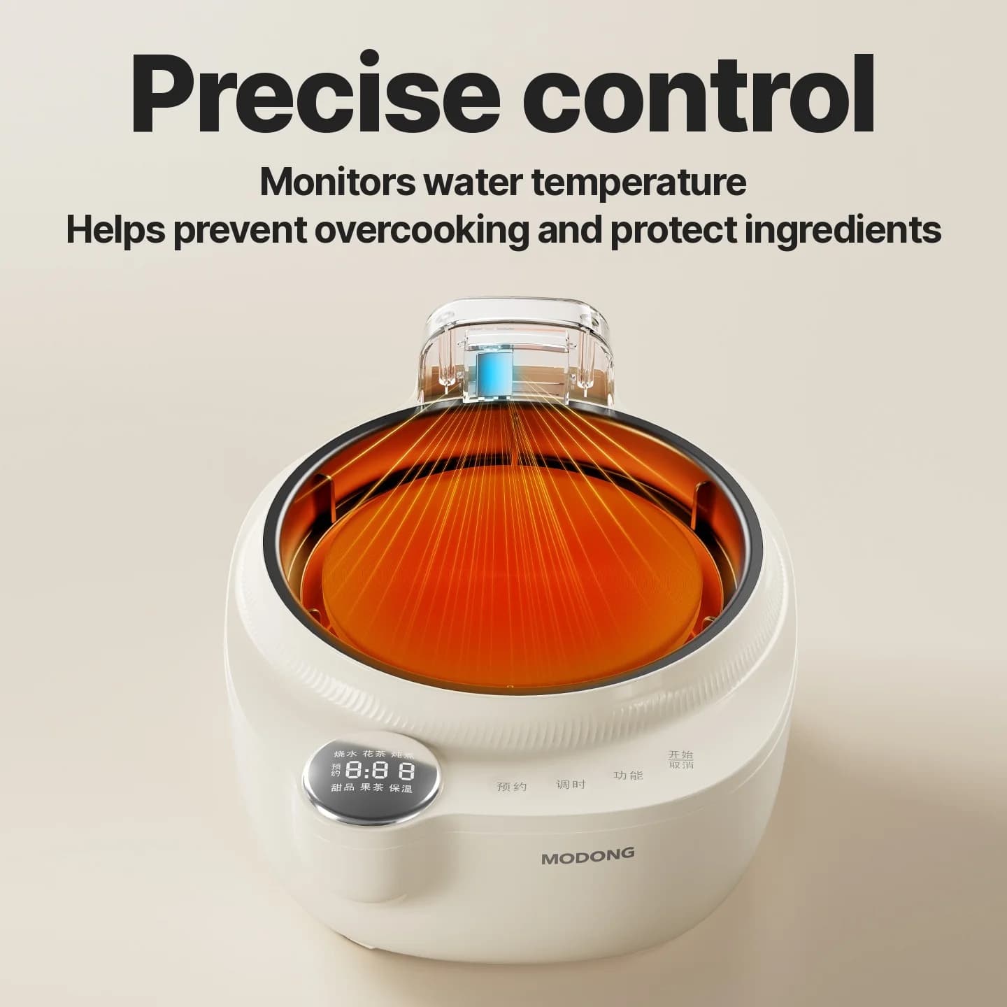 Glas-Elektro-Teekessel mit Temperaturregelung, 1L